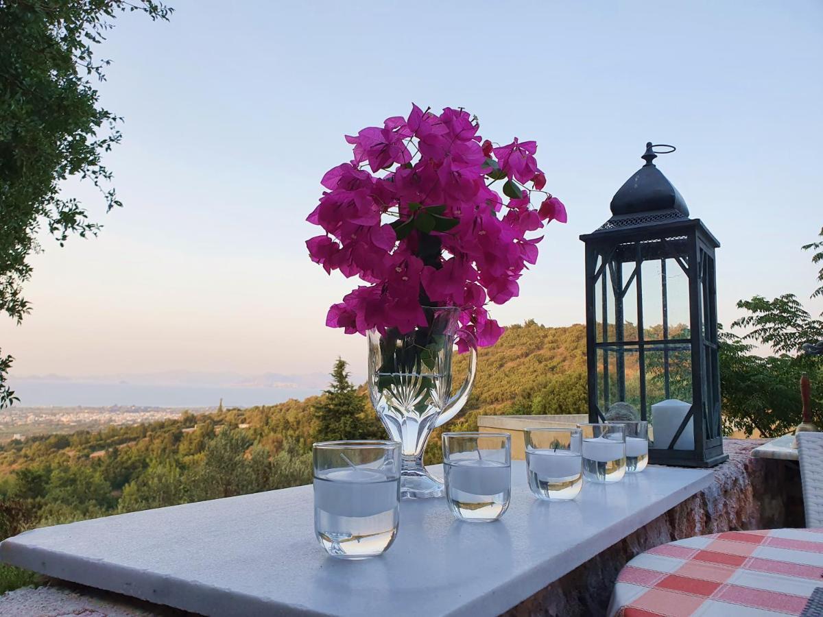 Orea Ellas Kos - Apartments & Bistro-Cafe Lagoudi Zia 外观 照片
