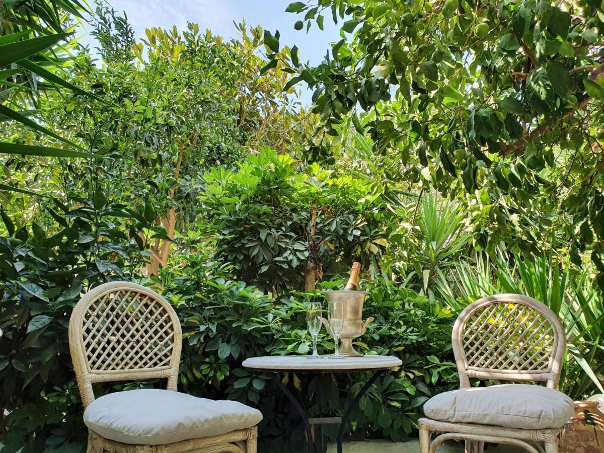 Orea Ellas Kos - Apartments & Bistro-Cafe Lagoudi Zia 外观 照片