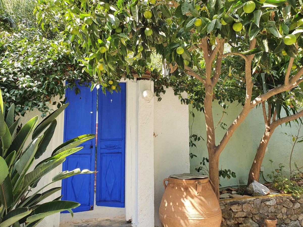 Orea Ellas Kos - Apartments & Bistro-Cafe Lagoudi Zia 外观 照片